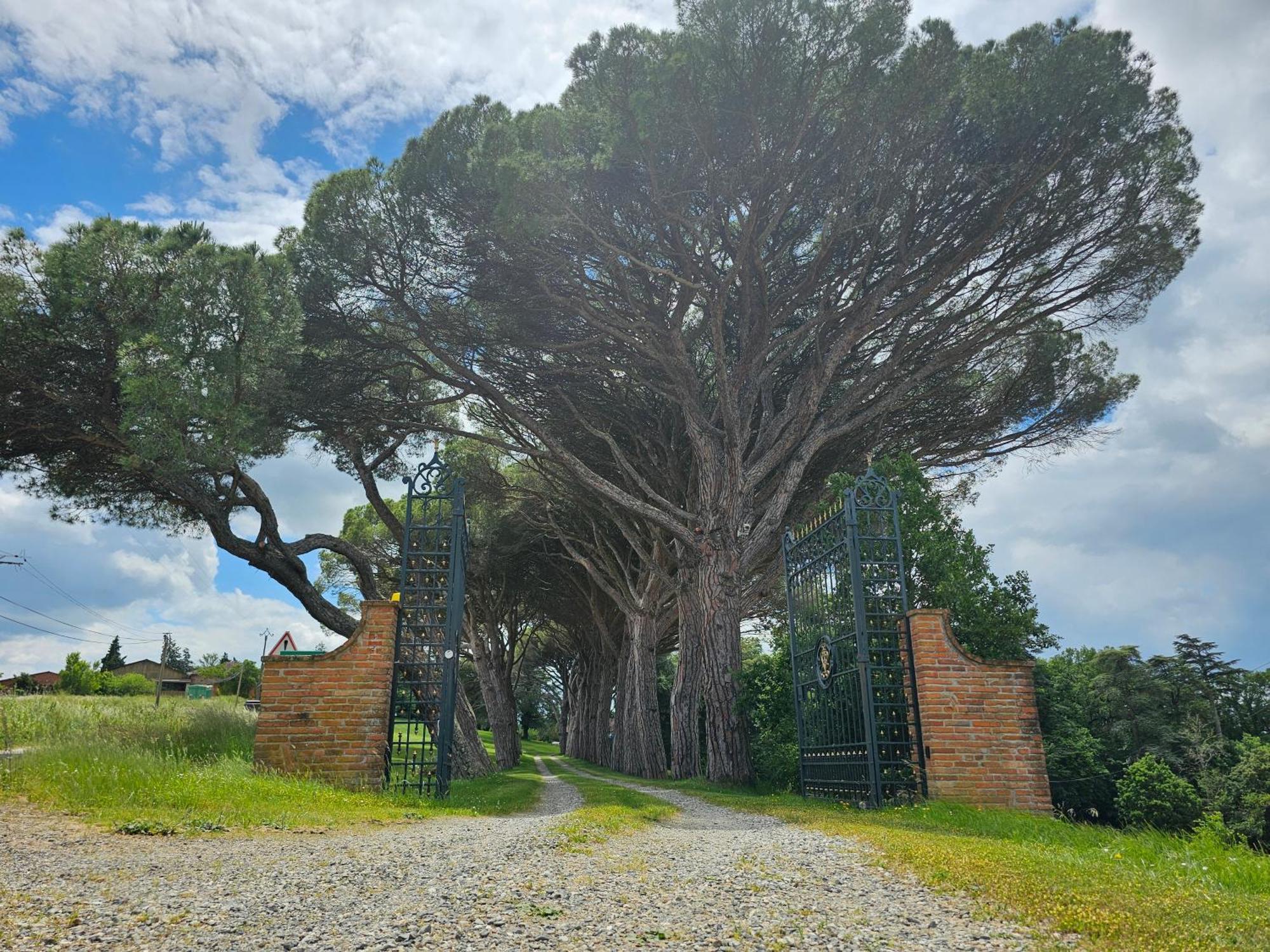 Chateau De Pys Guest House Latrape Exterior foto